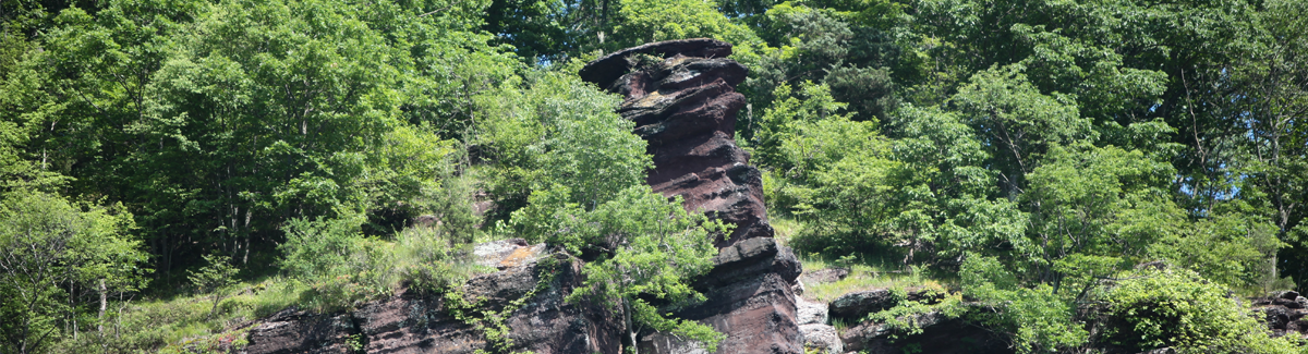 Scenic and Gorgeous River Views