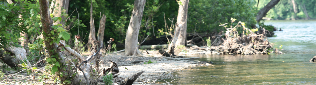 Private and Serene Beach